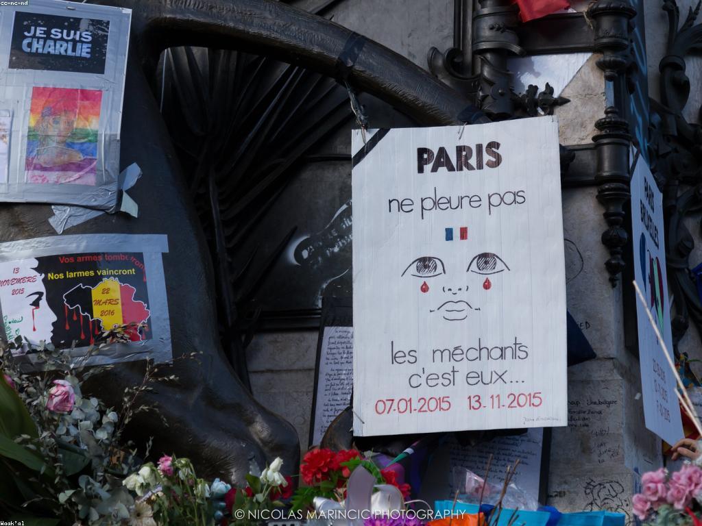 ពិន្ទុ និងពិភាក្សា: តើវាជាអ្វី និងមានសារៈសំខាន់យ៉ាងដូរ?