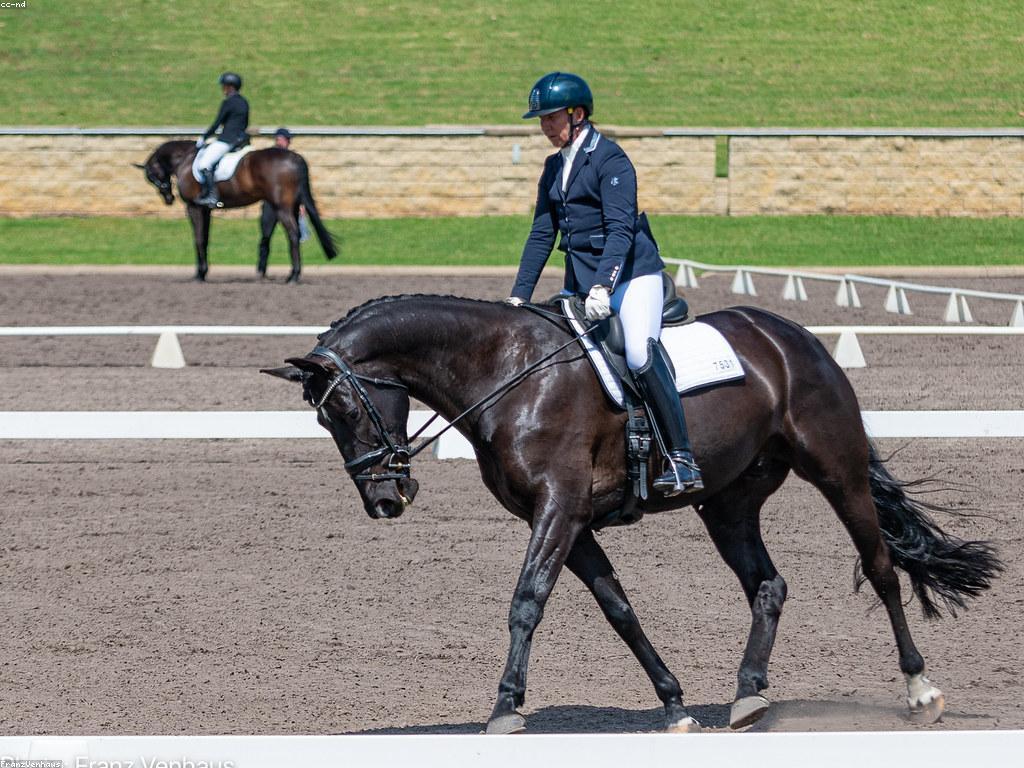 ការប្រកួត និងព្រឹត្តិការណ៍៖ មើលទៅកាន់អនាគត