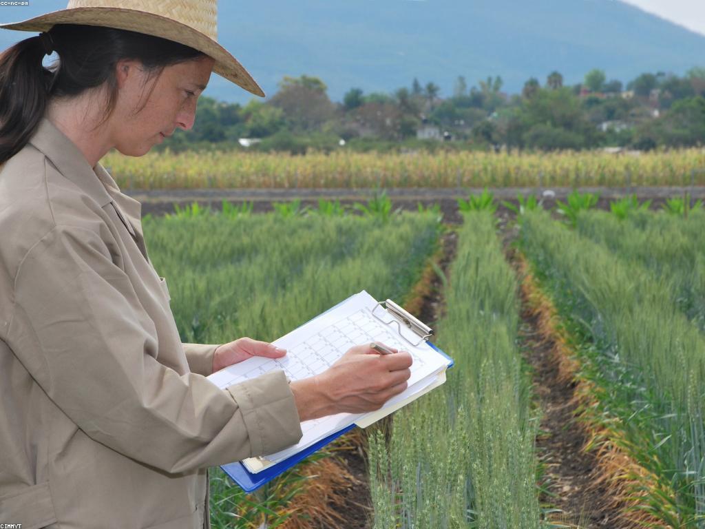 សារៈសំខាន់នៃការប៉ាន់ស្មាននិងការពិភាក្សា
