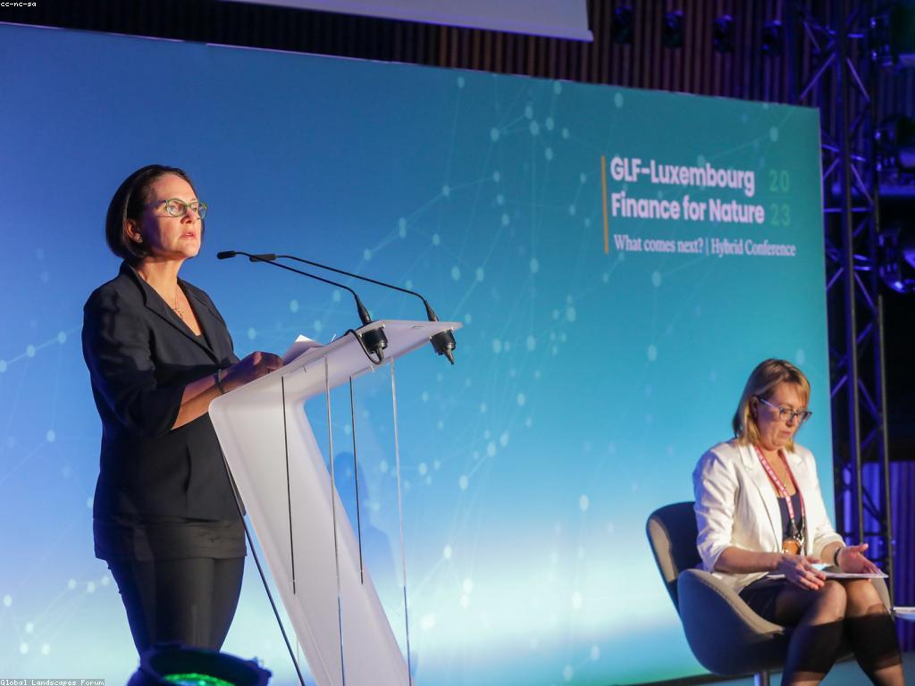 ពិន្ទុ និងព្រឹត្តិការណ៍: ការពិភាក្សាអំពីឥស្សរិយភាពនិងប្រសិទ្ធភាព