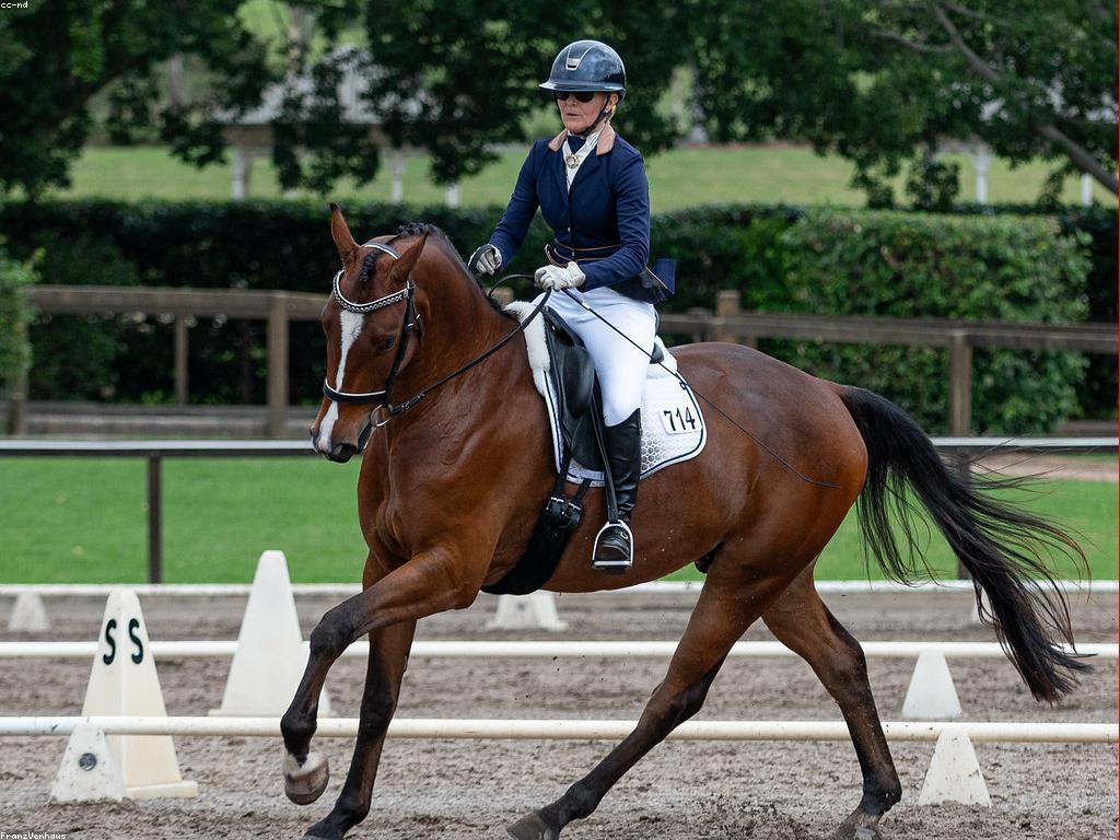 ព្រឹត្តិការណ៍ និងការប្រកួត៖ អ្វីដែលអ្នកគួរតែដឹង